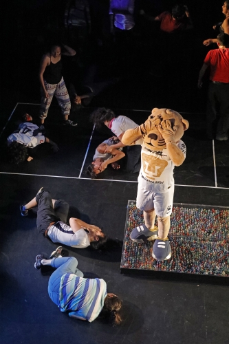 Image 20