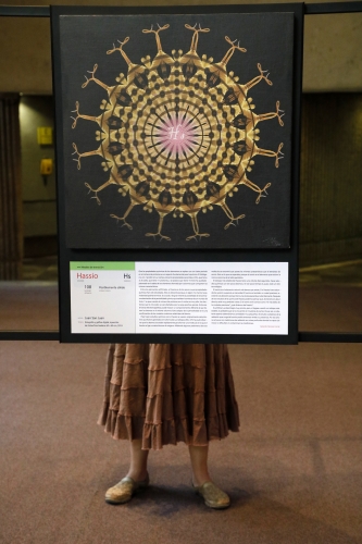 El Aleph. Exposición La tabla de los elementos