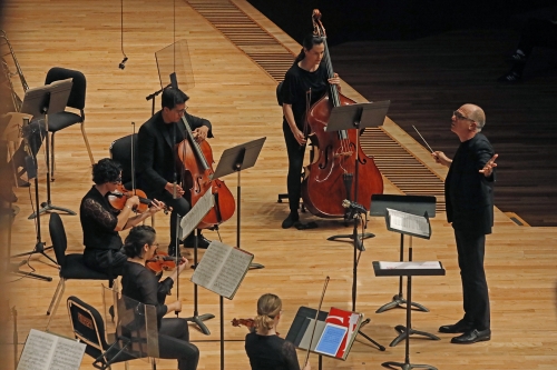 Ensamble Vértice
