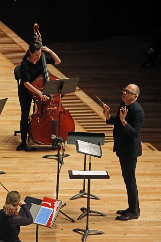 Ensamble Vértice