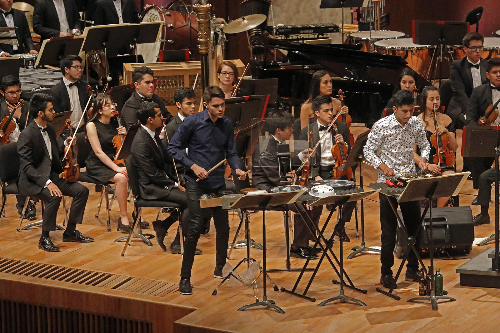 El Aleph. Concierto Arte de la Complejidad OJUEM